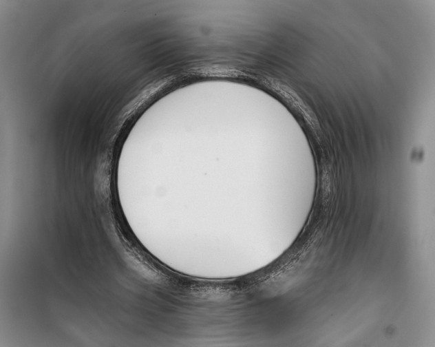 X0000099440533200805301453