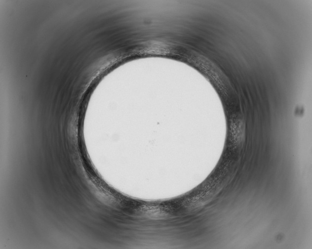 X0000099440534200805301453