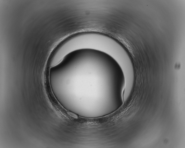 X0000099440536200805301453