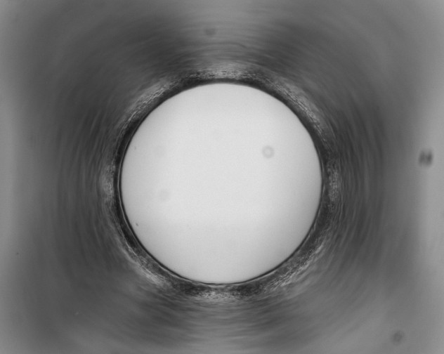 X0000099440537200805301453