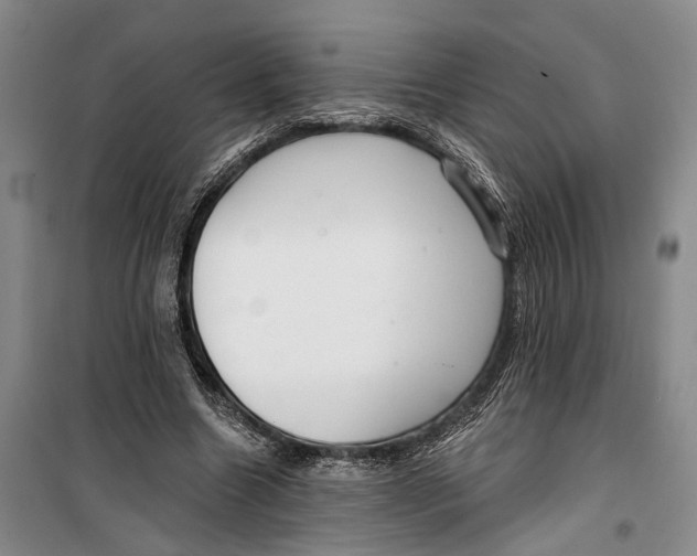 X0000099440538200805301453