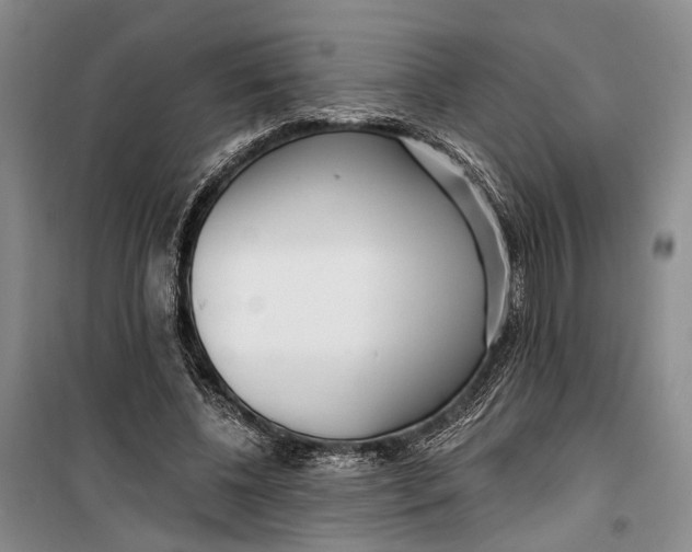 X0000099440540200805301453