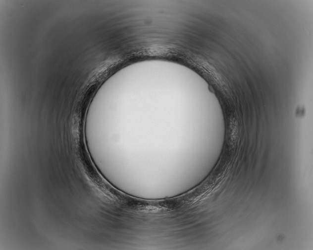 X0000099440542200805301453