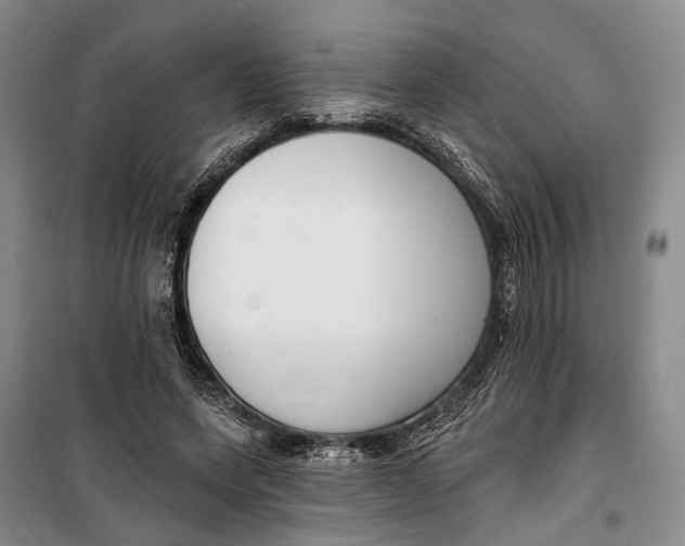 X0000099440543200805301453