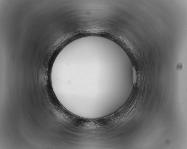 X0000099440544200805301453