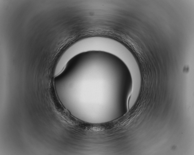 X0000099440546200805301453