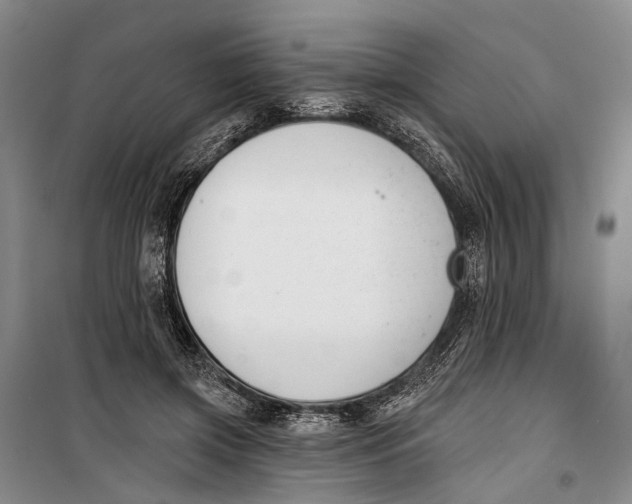 X0000099440549200805301453