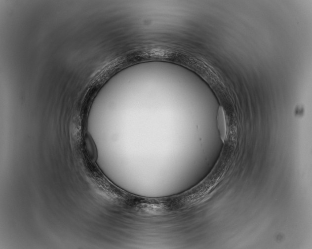 X0000099440552200805301453