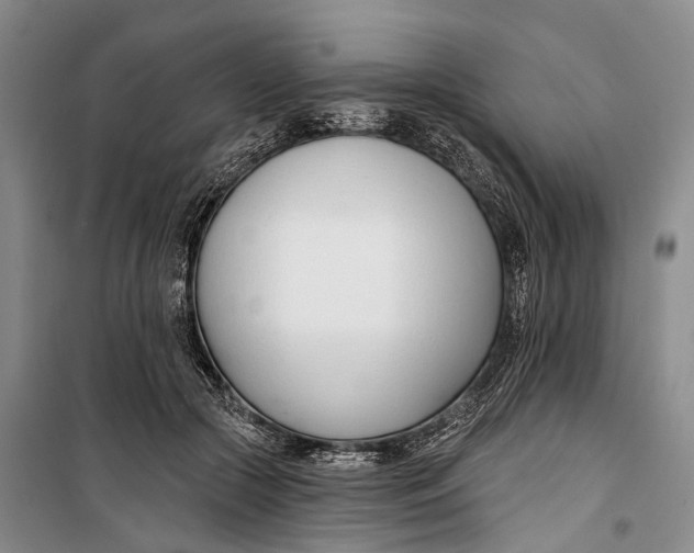 X0000099440553200805301453