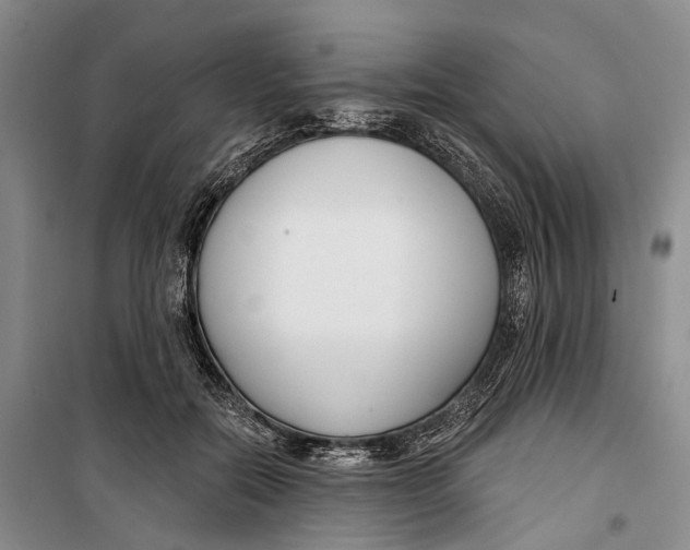 X0000099440554200805301453