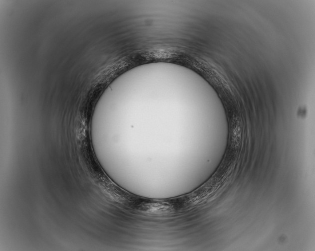 X0000099440555200805301453