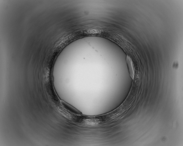 X0000099440556200805301453