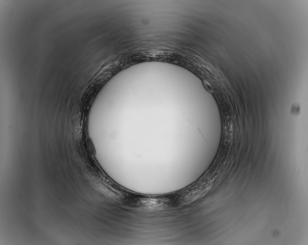 X0000099440558200805301453