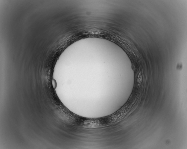 X0000099440559200805301453