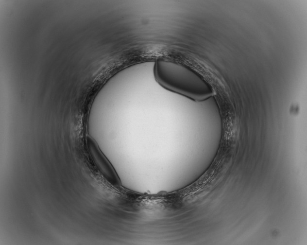 X0000099440560200805301453