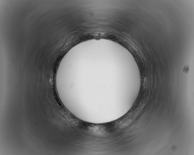 X0000099440561200805301453