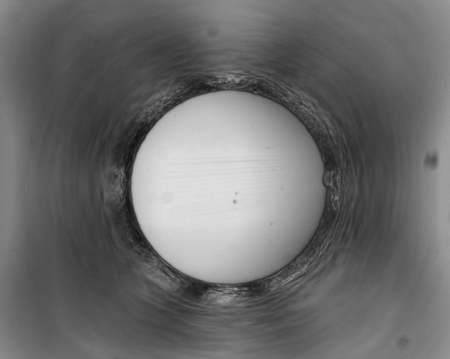 X0000099440563200805301453