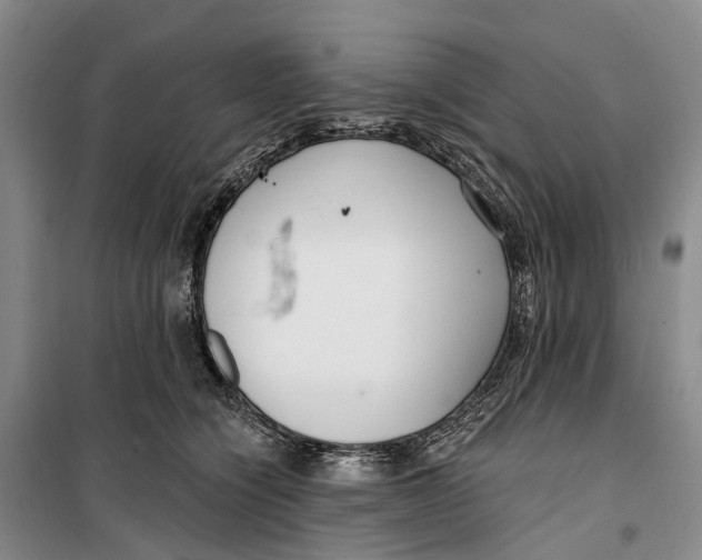 X0000099440564200805301453