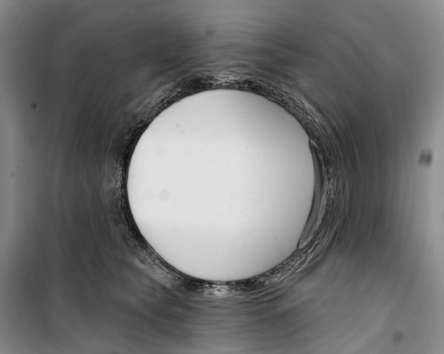 X0000099440565200805301453