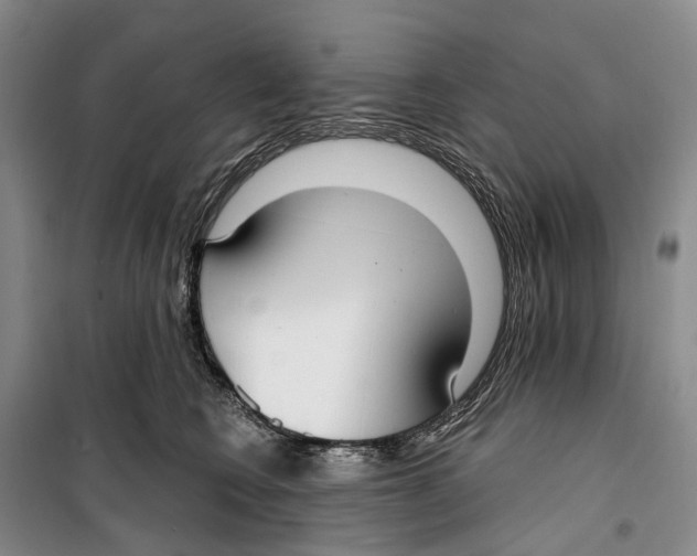 X0000099440566200805301453