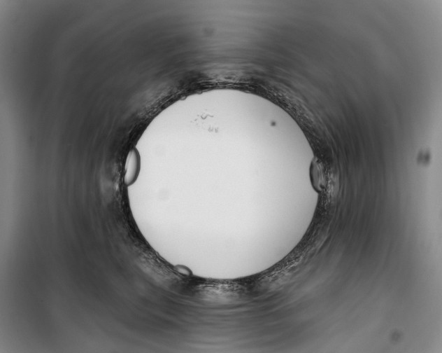 X0000099440567200805301453