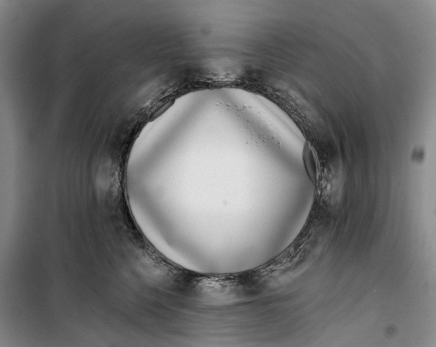 X0000099440568200805301453