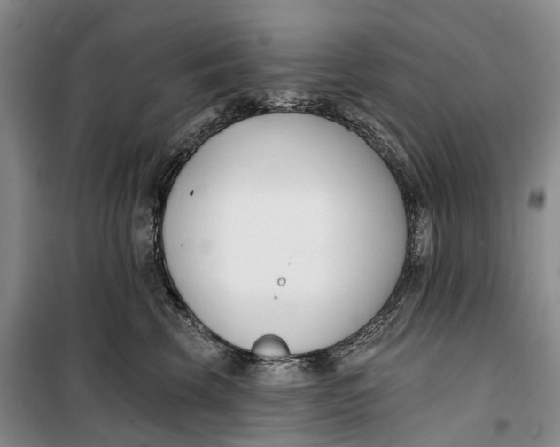 X0000099440569200805301453