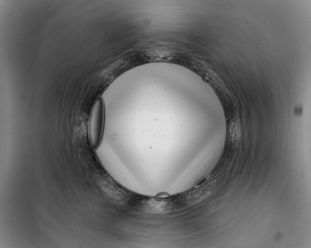 X0000099440570200805301453