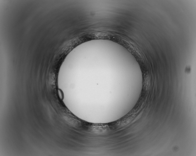 X0000099440571200805301453