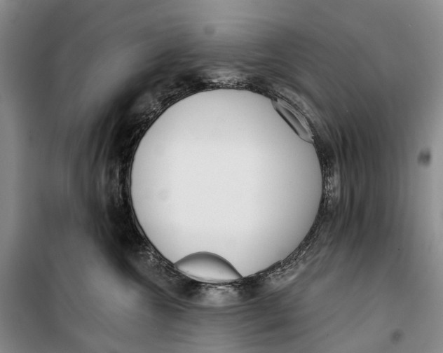 X0000099440572200805301453