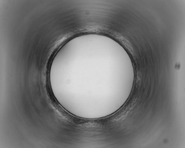 X0000099440578200805301453