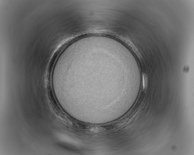 X0000099440579200805301453