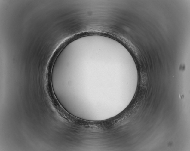 X0000099440580200805301453