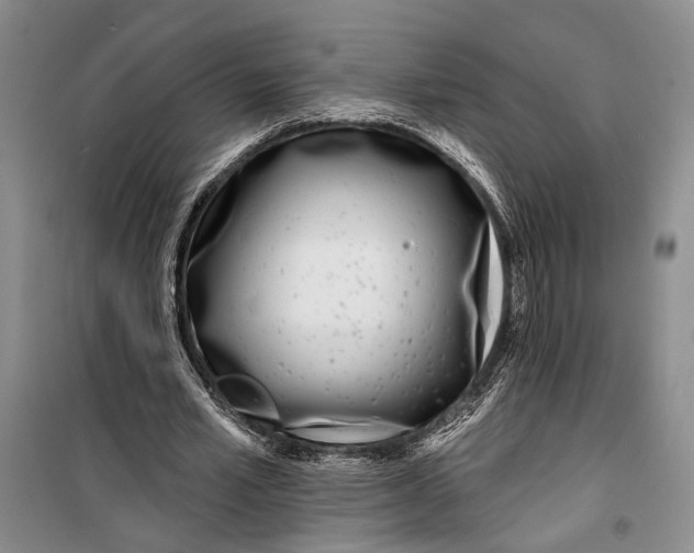 X0000099440581200805301453