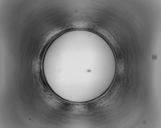 X0000099440583200805301453