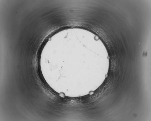 X0000099440584200805301453