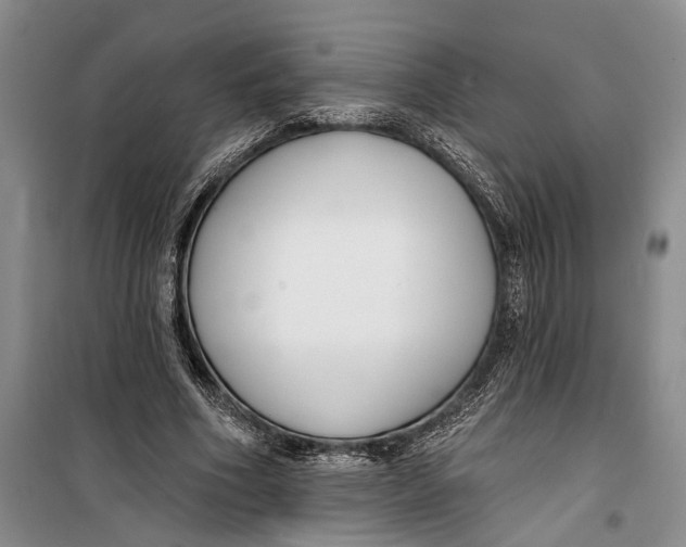 X0000099440586200805301453