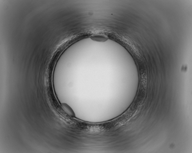 X0000099440587200805301453