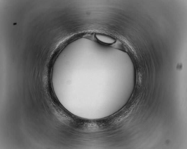 X0000099440588200805301453