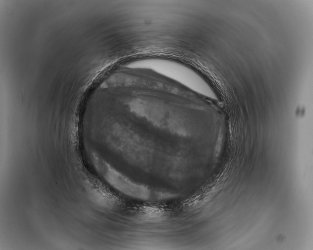 X0000099440592200805301453