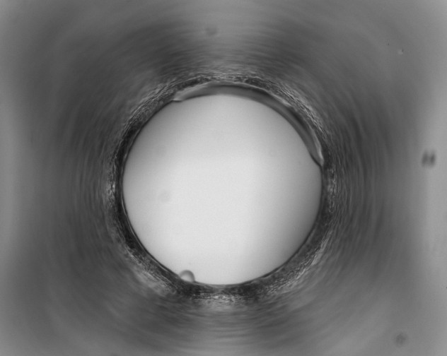 X0000099440593200805301453