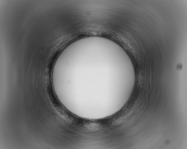 X0000099440594200805301453