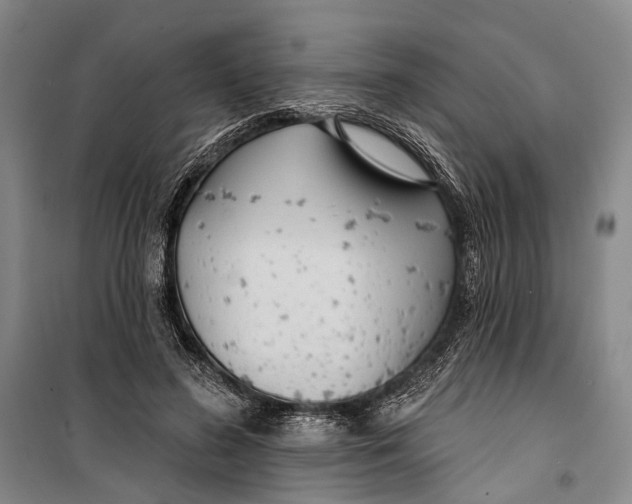 X0000099440596200805301453