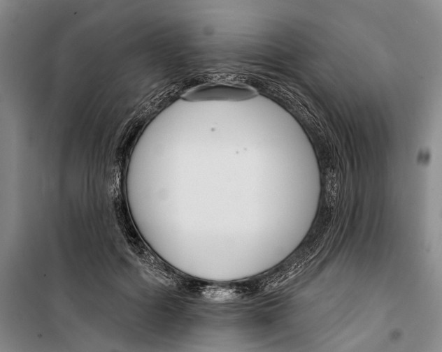 X0000099440602200805301452