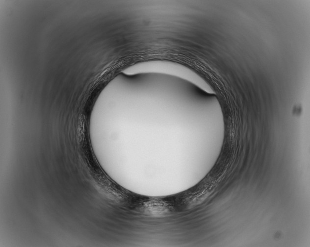 X0000099440603200805301452