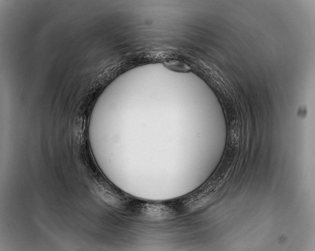 X0000099440605200805301452