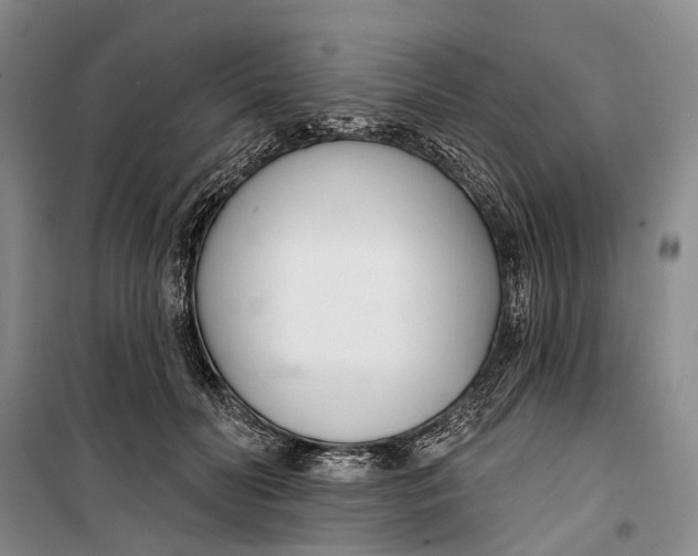 X0000099440606200805301452