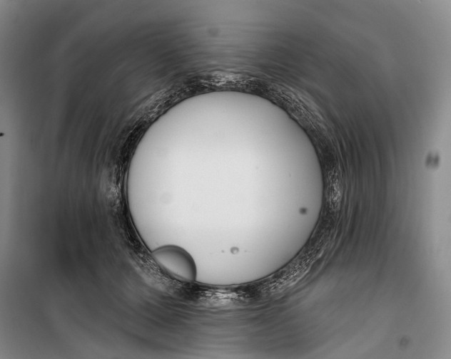 X0000099440607200805301452