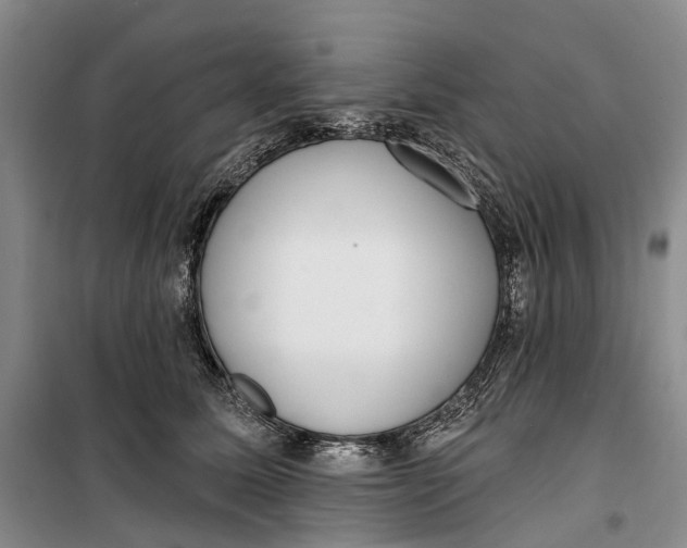 X0000099440611200805301452