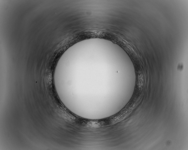 X0000099440613200805301452